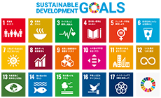 SDGs